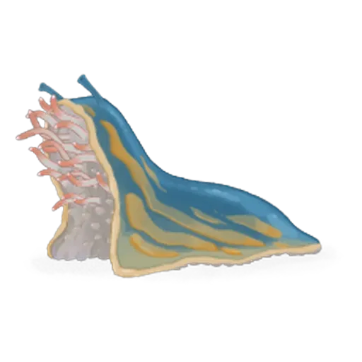 Putrilimace
