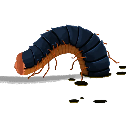 Dix-Mille-Pattes
