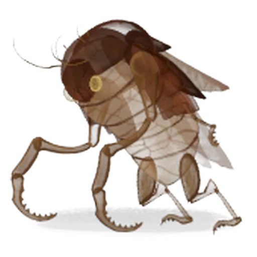 Exosquelette