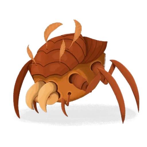 Sarcopte