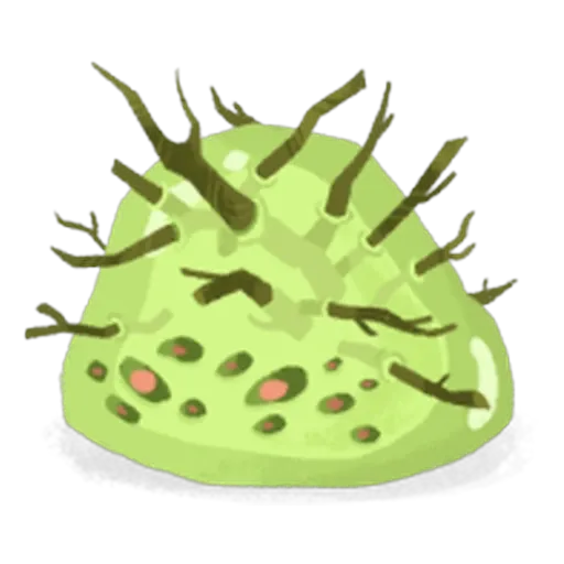 Limon brindille (M)